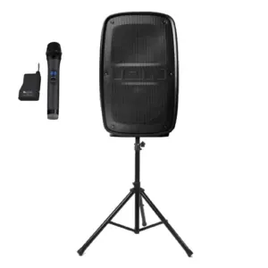 Speaker and Mic Combo - DYI